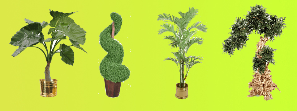 Artificial Plants & Trees